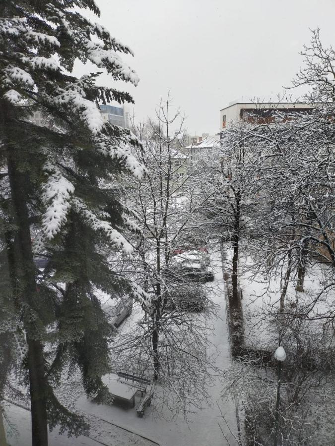 Cozy Family Apartments Braşov Dış mekan fotoğraf